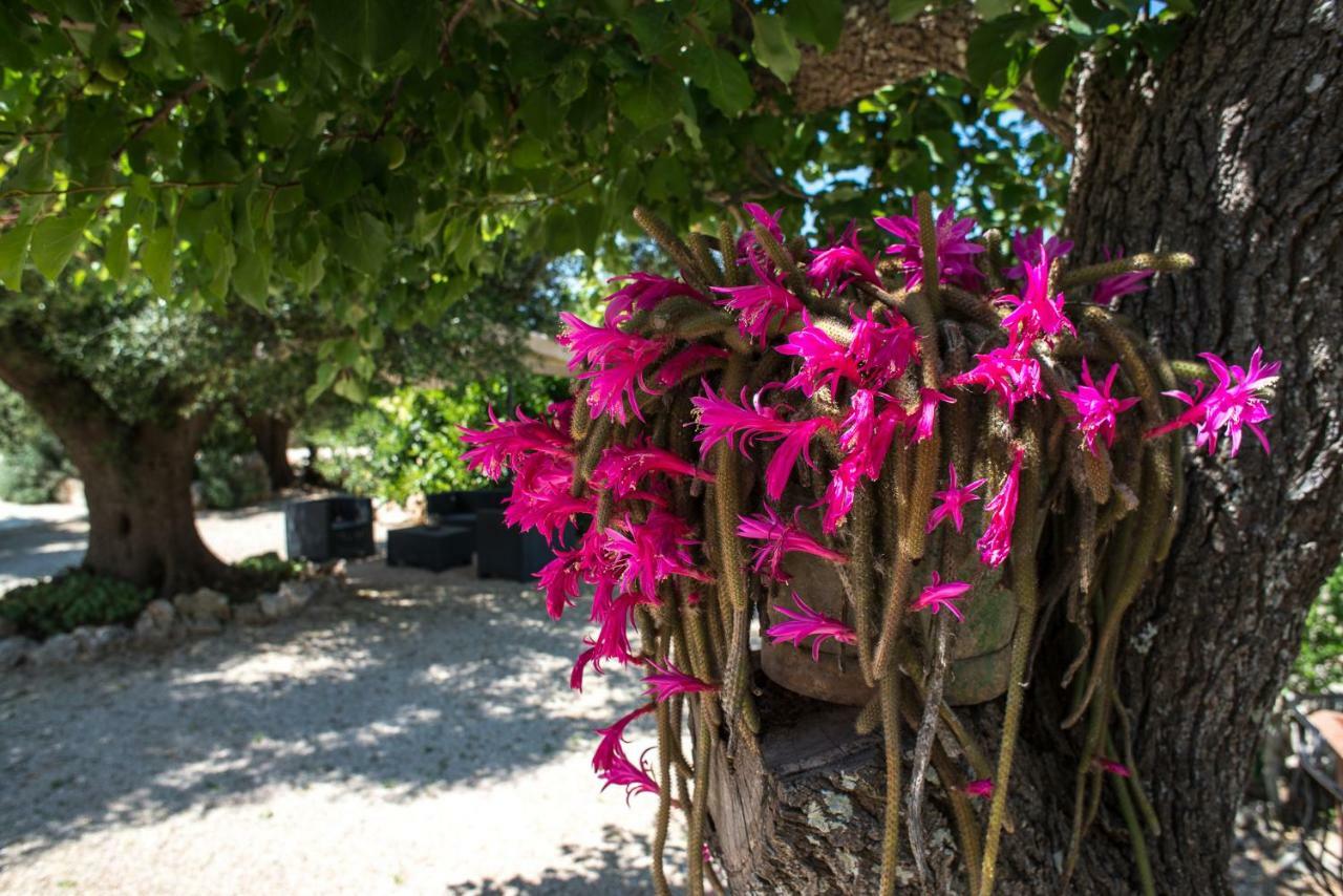Agriturismo Grotta Di Figazzano Cisternino Zewnętrze zdjęcie